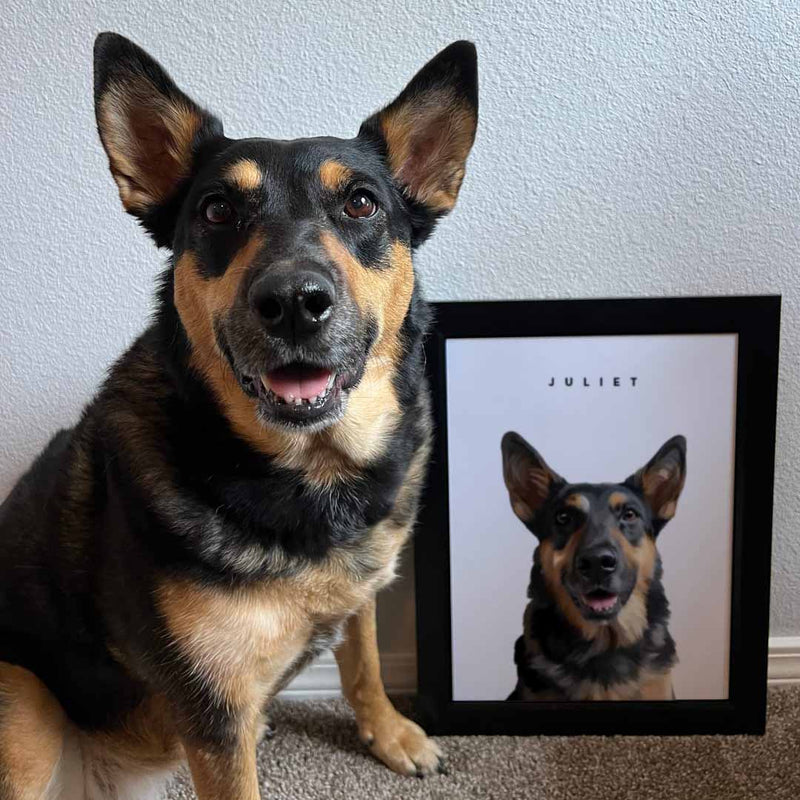 Custom Pet Portrait