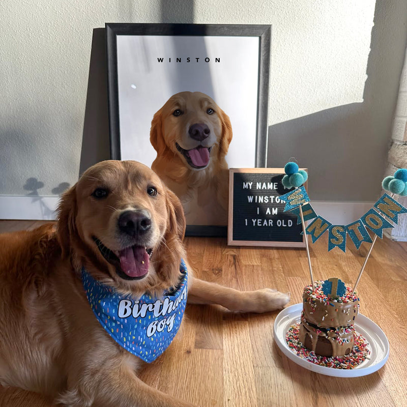Custom Pet Portrait