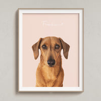 Custom Pet Portrait