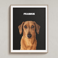 Custom Pet Portrait