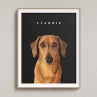 Custom Pet Portrait