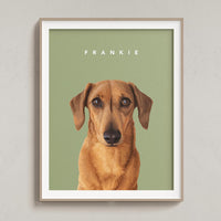 Custom Pet Portrait