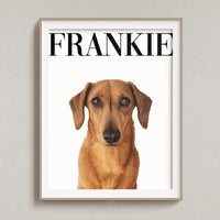 Custom Pet Portrait